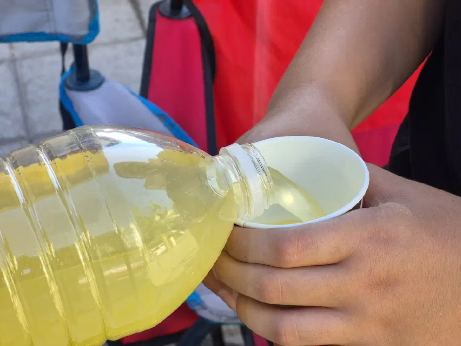 Limonata Satışı