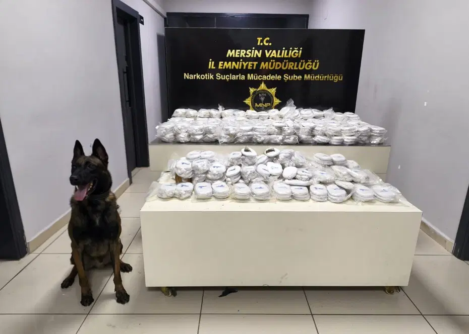 Mersin Kokain Operasyonu