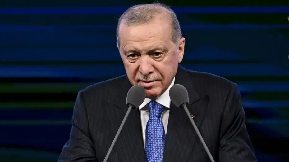Doktora Eğitimi